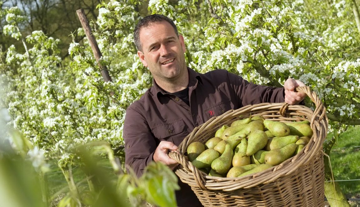 Carlos Faes shows the yield from the Philips Fruittuin Carlos Faes shows the yield from the Philips Fruittuin