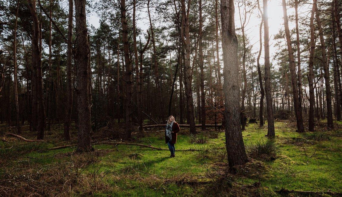 Van Gogh Drenthe in a forest Van Gogh Drenthe in a forest